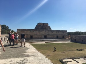 IMG 1946